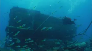 103: Blue Ocean Film Festival