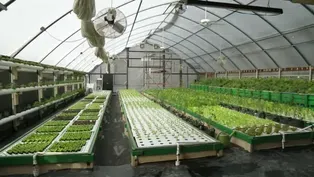 104: Aquaponics