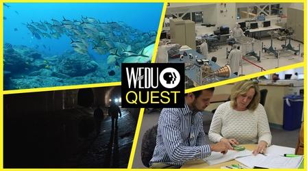 Video thumbnail: WEDU Quest Episode 106
