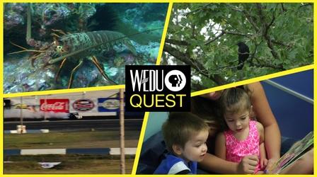 Video thumbnail: WEDU Quest Episode 111