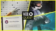 Episode 203