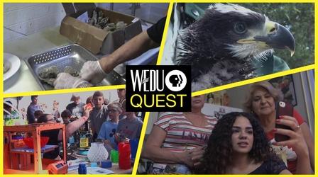 Video thumbnail: WEDU Quest Episode 204