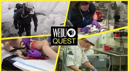 Video thumbnail: WEDU Quest Episode 205