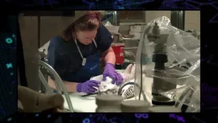 205: Critter Crime Lab