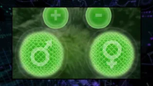 208: Green Algae