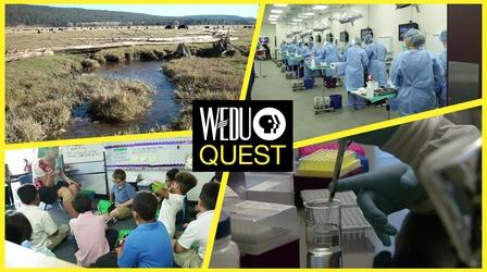 Video thumbnail: WEDU Quest Episode 302