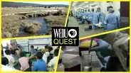 Episode 302