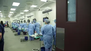 302: SynDaver