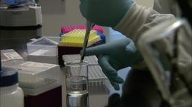 Video thumbnail: WEDU Quest 302: Tracking the Zika Virus