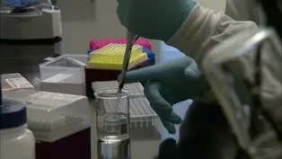 302: Tracking the Zika Virus