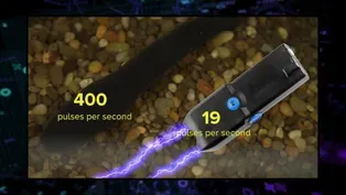 305: When Eels Attack