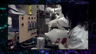 305: Alternative Fuels