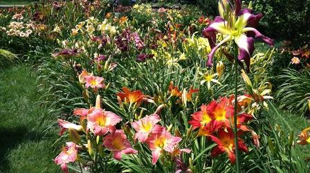Video thumbnail: Heartland Highways Whiteside Garden, Daylily Farm, Old Time Radio Theater