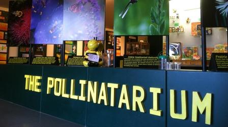 Video thumbnail: Heartland Highways Bruce Wicks, Pollinatarium, Breweriana Collectors