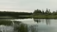Habitat
