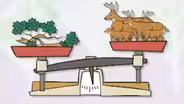 Population Dynamics