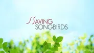 Saving Songbirds
