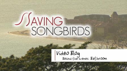 Video thumbnail: Saving Songbirds Saving Songbirds | Behind the Scenes: Bathrooms