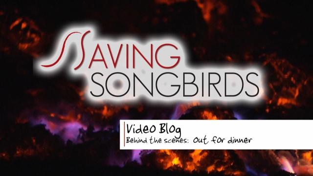 Saving Songbirds | Out for Dinner