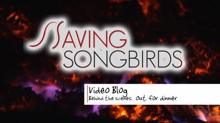 Video thumbnail: Saving Songbirds Saving Songbirds | Out for Dinner