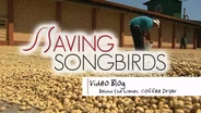 Saving Songbirds | Coffee Dryer