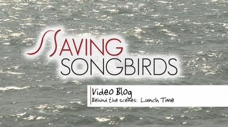 Video thumbnail: Saving Songbirds Saving Songbirds | Lunch time in Jamaica