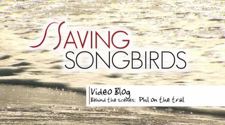 Video thumbnail: Saving Songbirds Saving Songbirds | Phil on the Trail