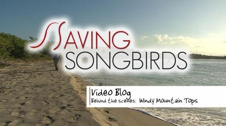 Video thumbnail: Saving Songbirds Saving Songbirds | Windy Mountain Tops