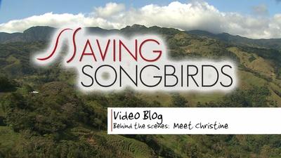 Saving Songbirds | Meet Christine