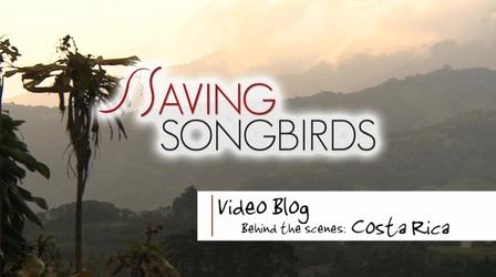 Video thumbnail: Saving Songbirds Saving Songbirds | On the Road in Costa Rica