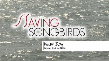 Video thumbnail: Saving Songbirds Saving Songbirds | Off to Jamaica
