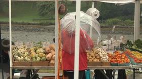 Video thumbnail: Planet Granite UNH-COLSA/Tuttle series | Summer Farmers Markets