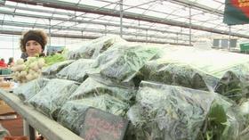 Video thumbnail: Planet Granite UNH-COLSA/Tuttle series | Winter Farmers Markets