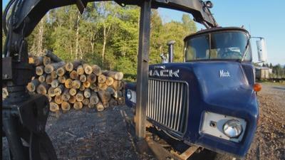 Colebrook | Logging Over Time