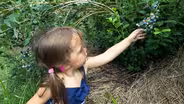 Stratham | Blueberry Bay Farm
