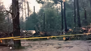 Stratham | The Microburst