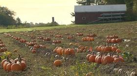 Video thumbnail: Planet Granite UNH-COLSA/Tuttle series | Sustainable Agriculture