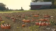 UNH-COLSA/Tuttle series | Sustainable Agriculture