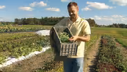 UNH-COLSA/Tuttle series | Growing Green