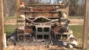 UNH-COLSA/Tuttle series | Bee Hotel