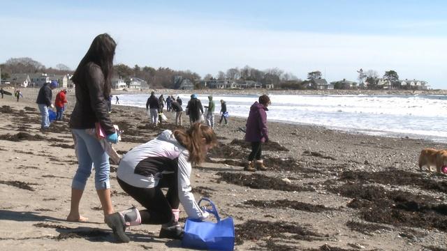 UNH-COLSA/Tuttle series | Beach Cleanup