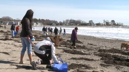 Video thumbnail: Planet Granite UNH-COLSA/Tuttle series | Beach Cleanup
