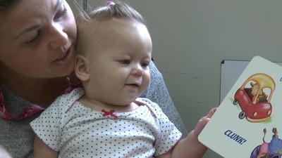 The Science of Early Brain Development | Web Extra