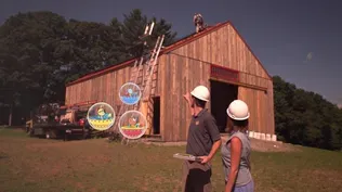The Quinks Explore the Power of the Sun