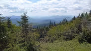 Riding Wildcat