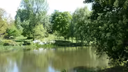 Mount Auburn Cemetery