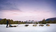 Dogsledding in the Wilderness