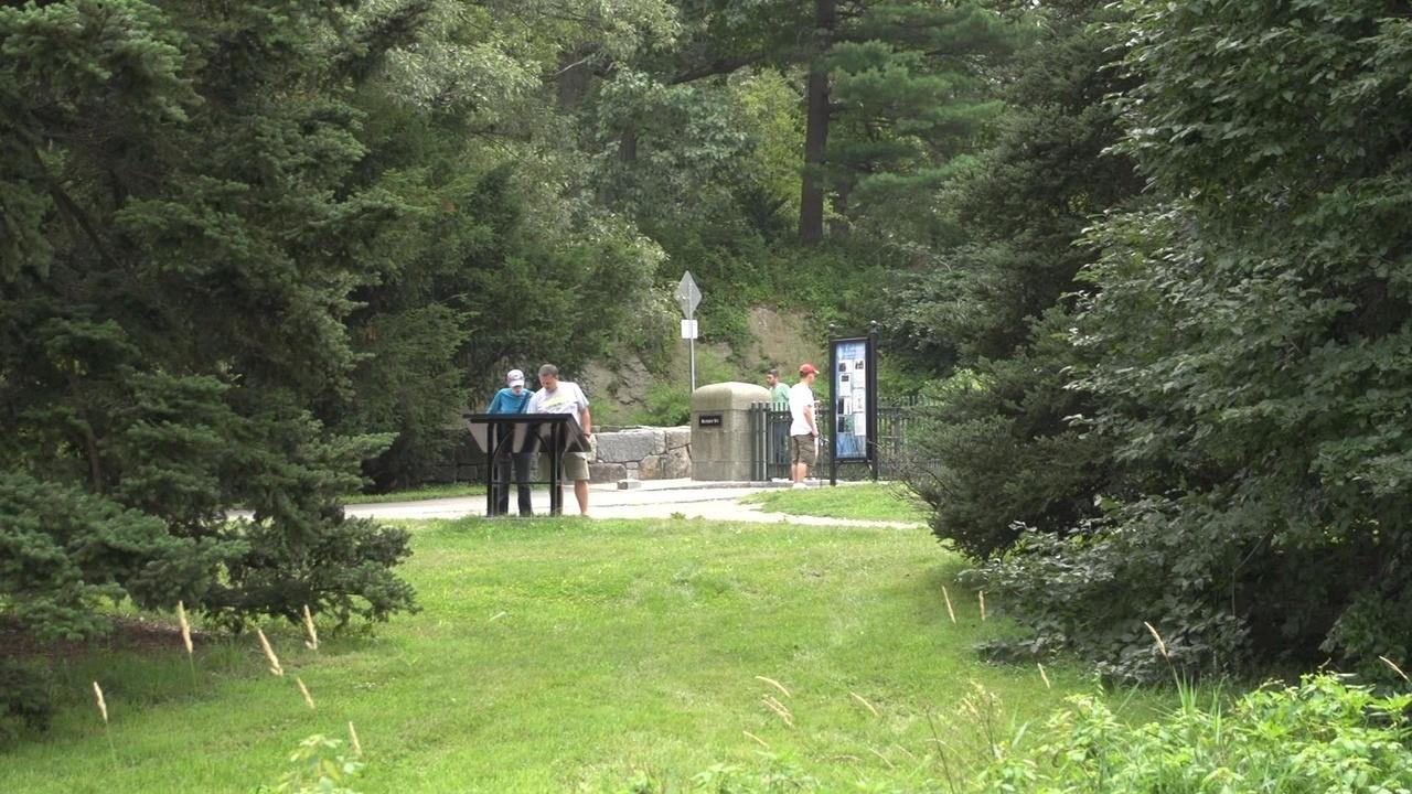 Windows to the Wild | Discover the Emerald Necklace