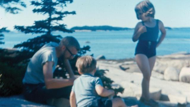 Windows to the Wild | Will's Family Vacations