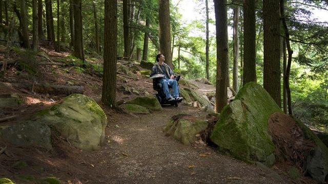 Windows to the Wild | Hiking For All (Preview)